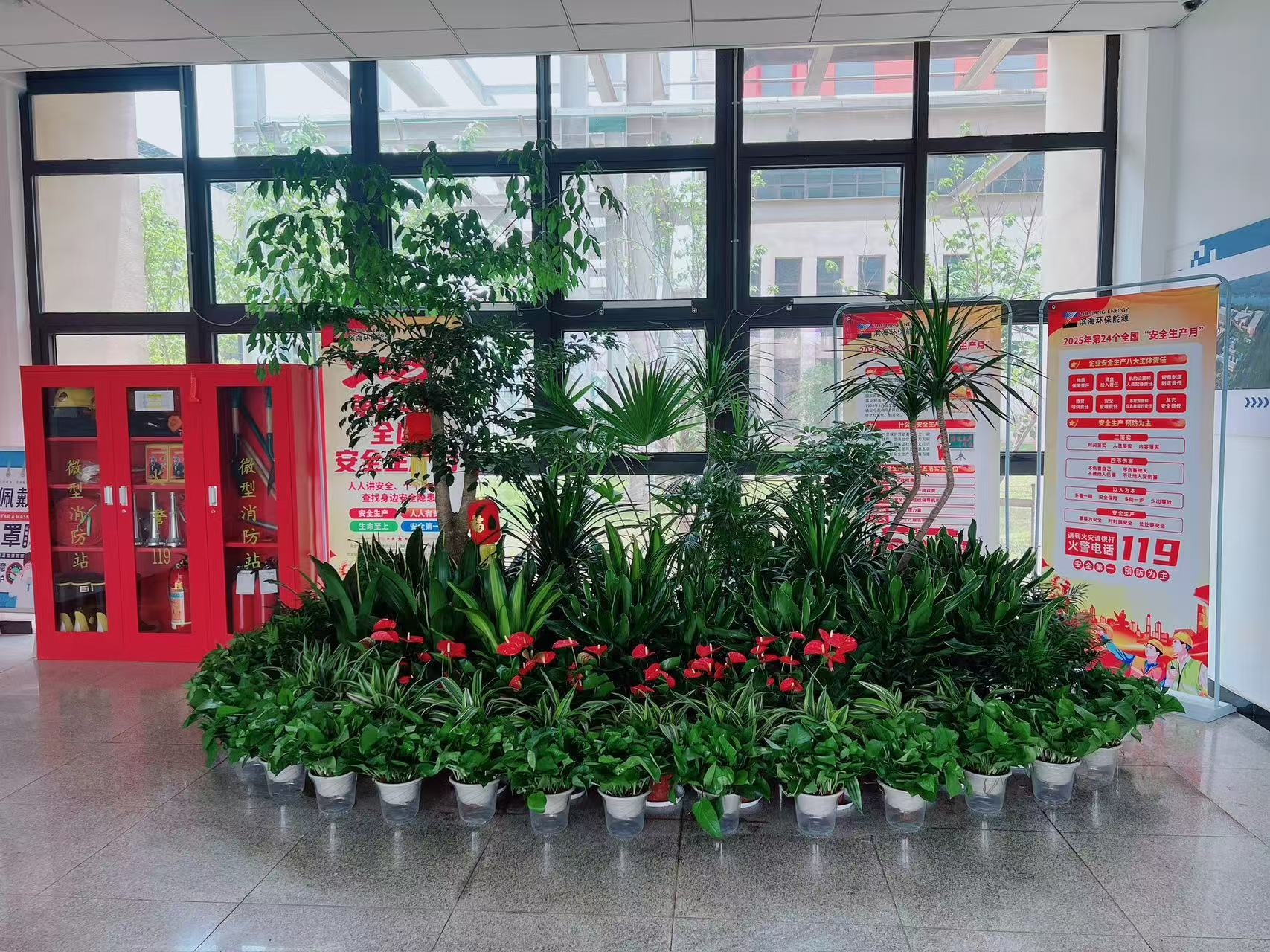 宁波江北盆景租赁设计，打造独特空间景观